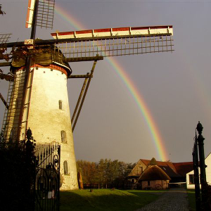 Moulin à farine électrique agricole : Guide 2022