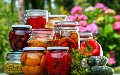 Lacto-fermentation : comment réaliser sa propre choucroute ?