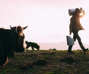 Les animaux et nous, les animaux en nous