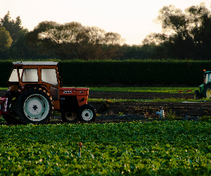 Faillite sanitaire du système agricole intensif