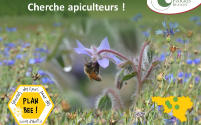 Nature & Progrès recherche des apiculteurs pour mettre des ruches sur ses parcelles Plan Bee