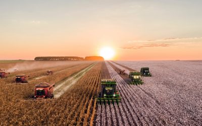 La société civile européenne veut protéger la santé et l’environnement contre les pesticides