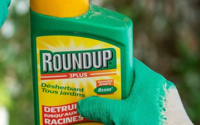 En 2017, le glyphosate a été réautorisé sur base de fraude