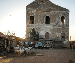 Un petit producteur sénégalais face à la crise du lait