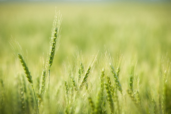 échangeons notre agriculture