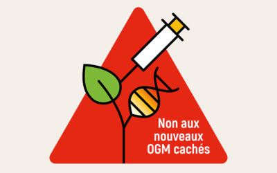 Feu vert en Europe pour les nouveaux OGM ?