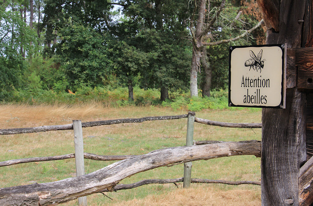 Le Ministre Clarinval soutient une augmentation des mortalités d’abeilles dues aux pesticides