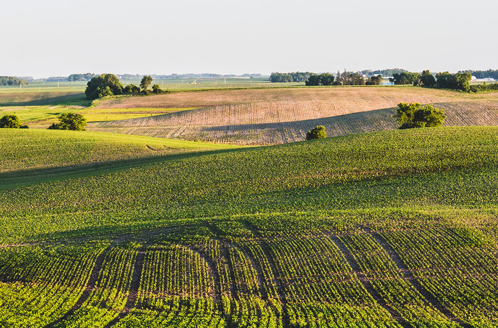 Les alternatives au sulfoxaflor existent, qu’attendons-nous pour en faire le pari?