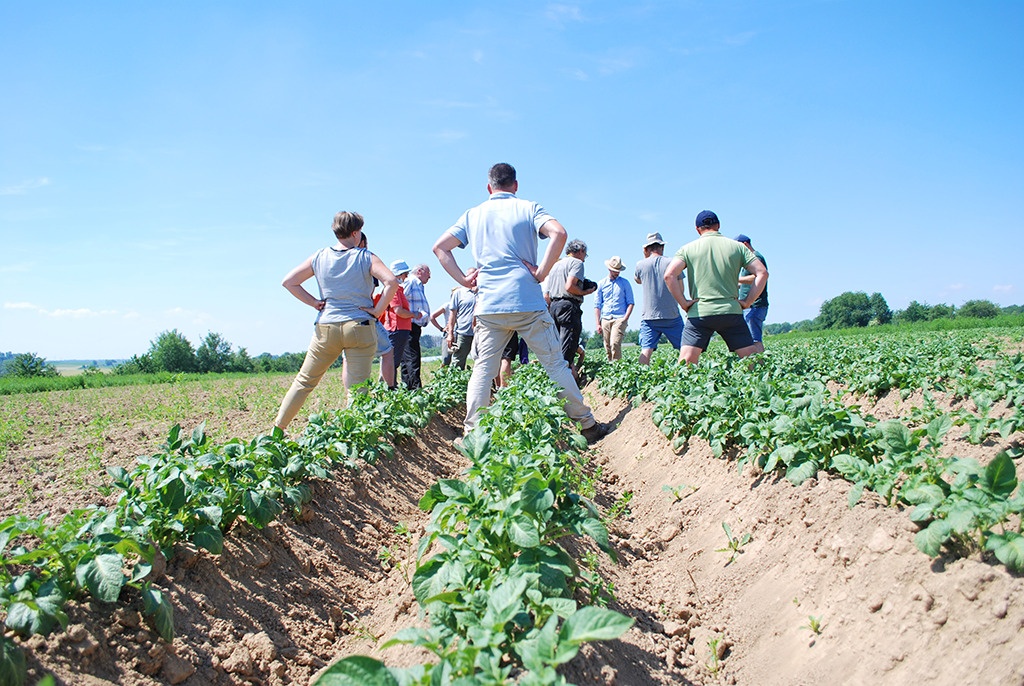 Ferme bio Barsy