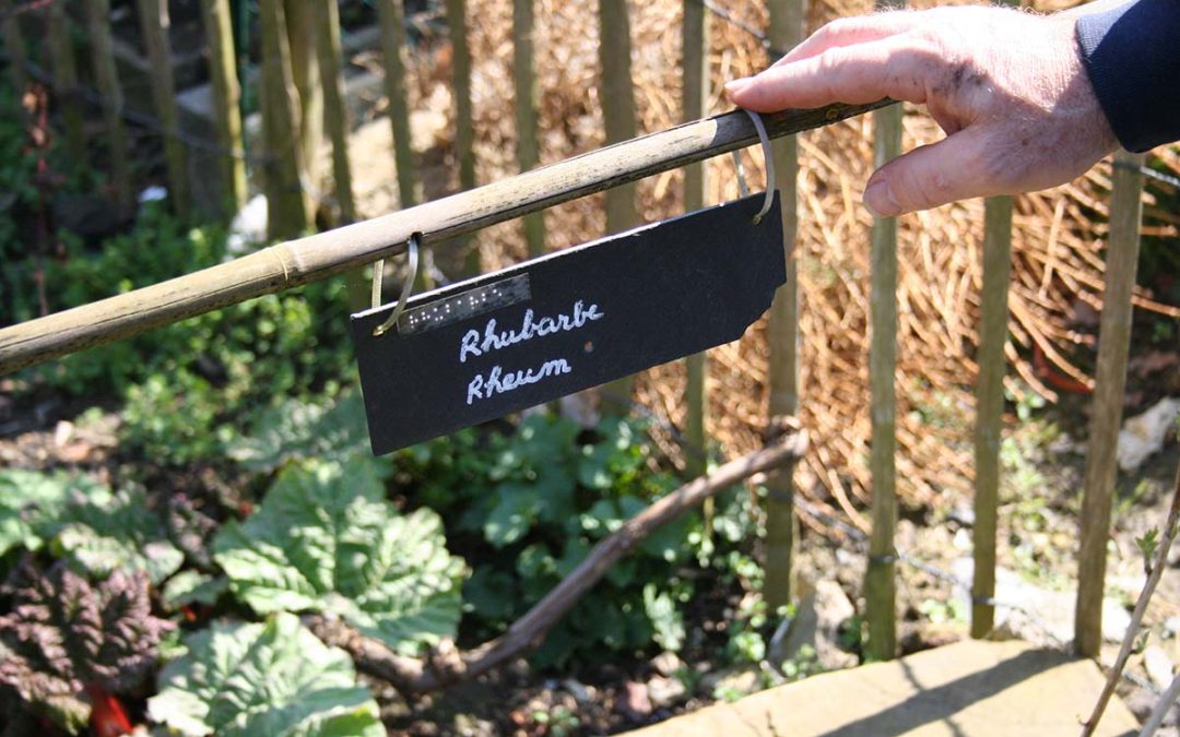 Journée sans voiture / fête de la rue du Progrès