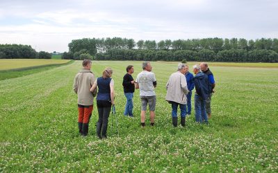 Une agriculture sans glyphosate : le quotidien des agriculteurs bio