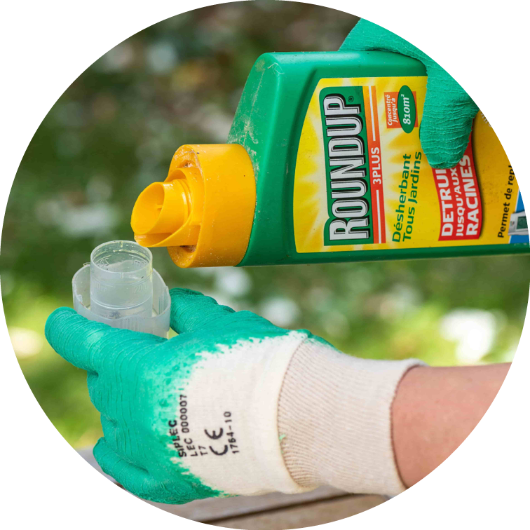 Glyphosate Roundup