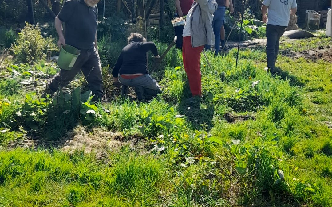 Jardin des Cinq à Lessines : accueil et infos sur les travaux en cours