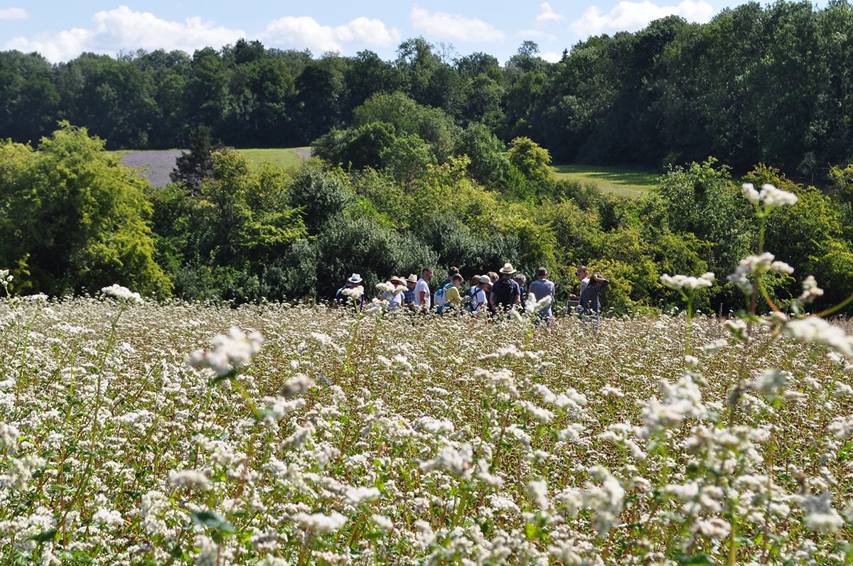 Plan Bee visite publique 2022