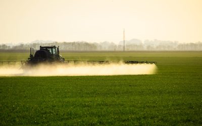 Saga glyphosate : un vendredi 13 avec une lueur d’espoir