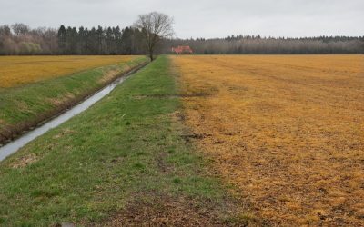 Saga glyphosate : pas de majorité qualifiée. La Commission Européenne a les cartes en main