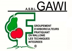 gawi.jpeg