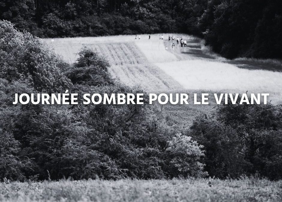 Dérégulation des nouveaux OGM : une journée sombre pour le vivant