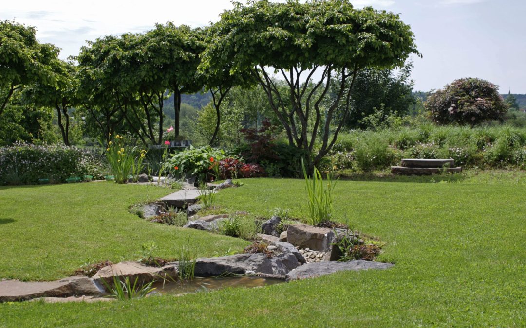 Portes Ouvertes : « Les jardins de TiLi » 29 au 30-06-24
