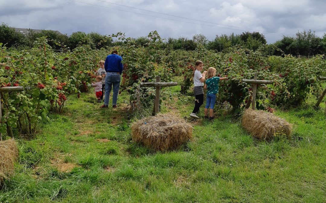 Portes Ouvertes : « Les vergers de Bonneville » 29 au 30-06-24