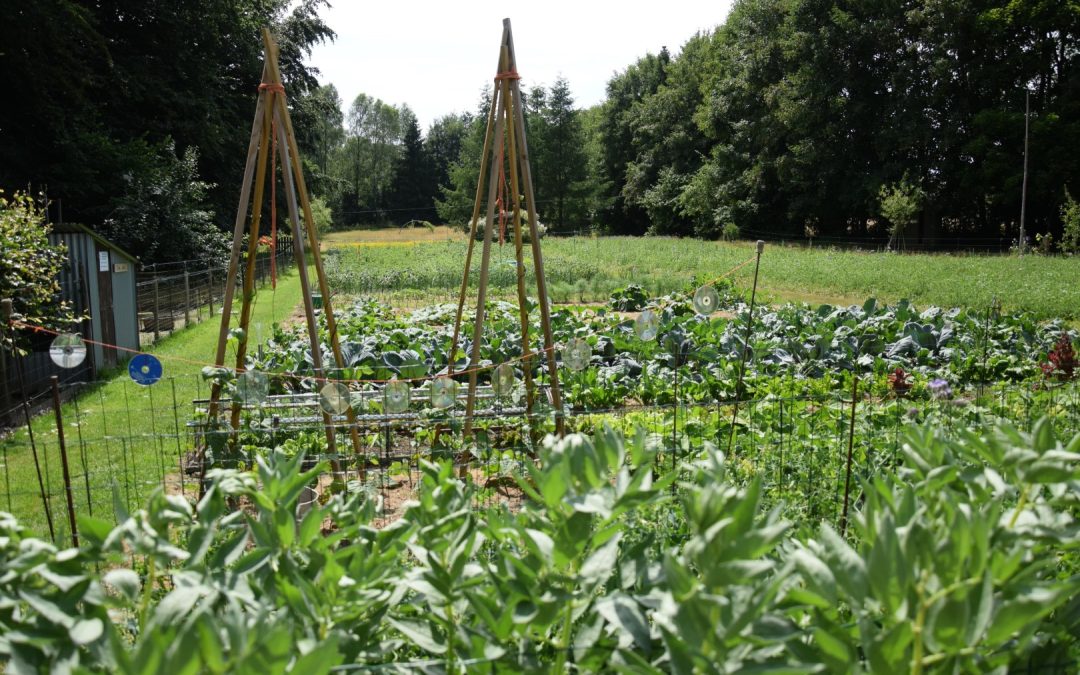 Portes Ouvertes : « Jardin Passion à Freux » 13 au 14-07-24