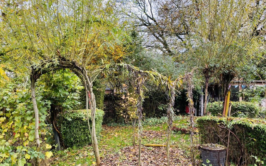 Portes Ouvertes : « Deux jardins, deux atmosphères ! Les structures en saule intégrées au paysage  » 01 au 02-06-24