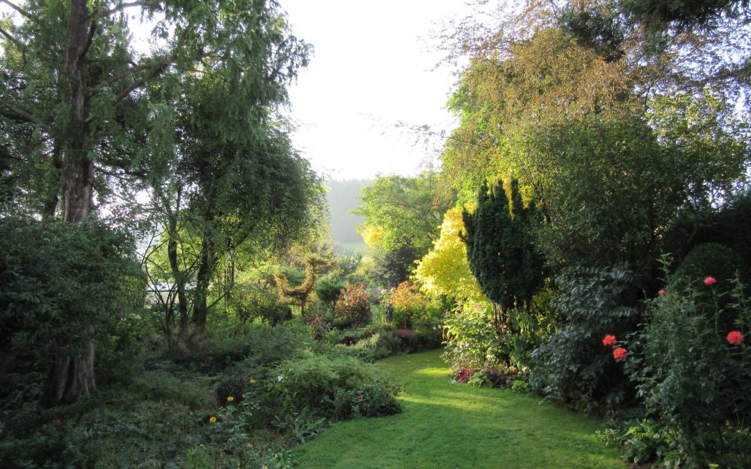 Portes Ouvertes : « Jardin des senteurs et des plantes rares  » 16-06-24