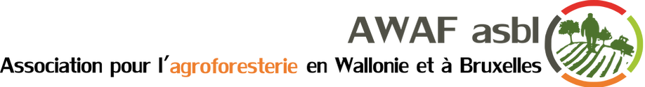 logo-AWAF1