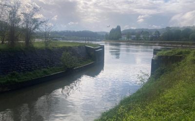 Contamination généralisée de l’eau par le TFA, un « produit de dégradation à vie » non réglementé des pesticides PFAS