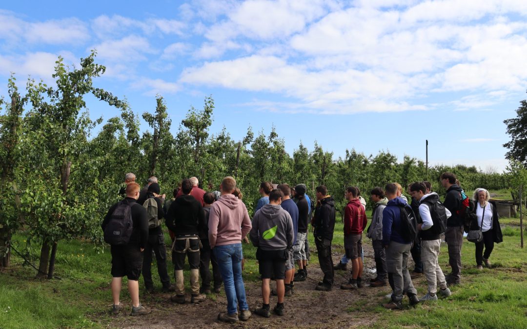Pesticides : on n’en veut plus !