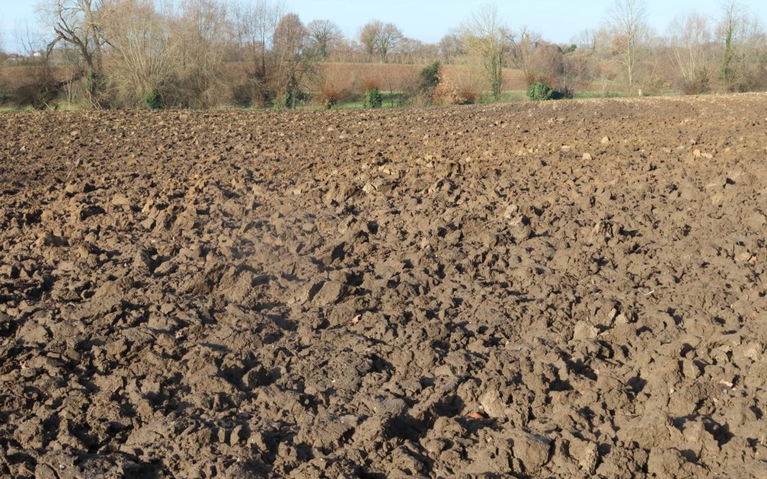 [Dossier] Faut-il encore labourer ? (partie 1/2)