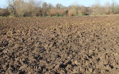 [Dossier] Faut-il encore labourer ? (partie 1/2)