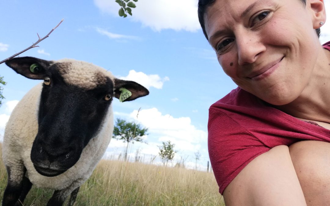 Un jardin vivant et nourricier