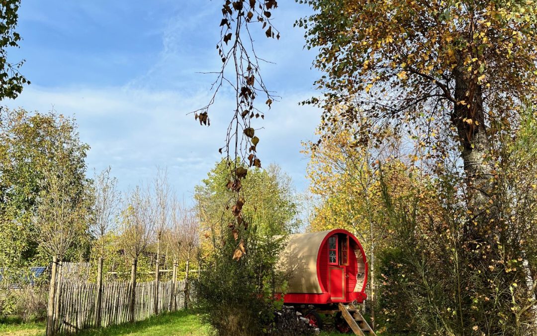 Écosystèmes en Mouvement : de la permaculture au jardin-forêt, des solutions pour un avenir durable