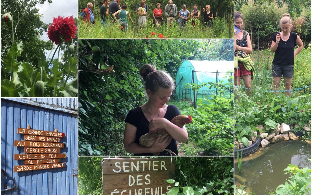 Porte ouverte d&rsquo;un projet en permaculture: Les amis du Village