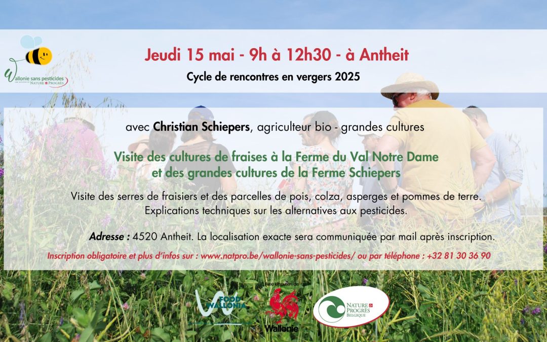 Cycle de rencontres en vergers : Visite de cultures de fraises et de grandes cultures