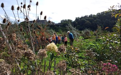 Les Jardins d’Hamptia