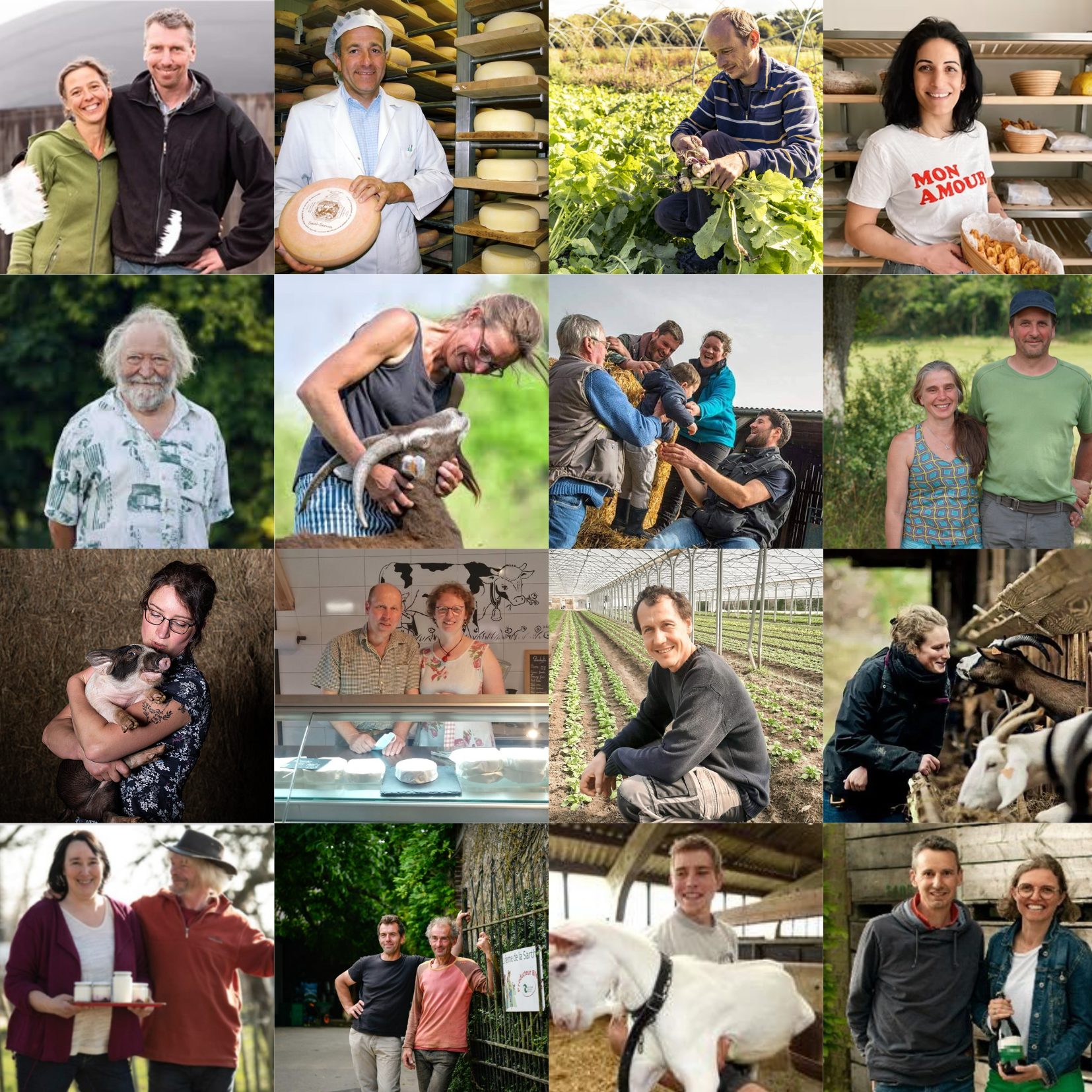 Mosaïque producteurs
