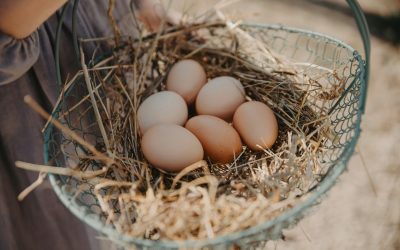 Faut-il arrêter de produire sa nourriture ?