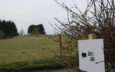 Enseigner la bio : stop ou encore ?