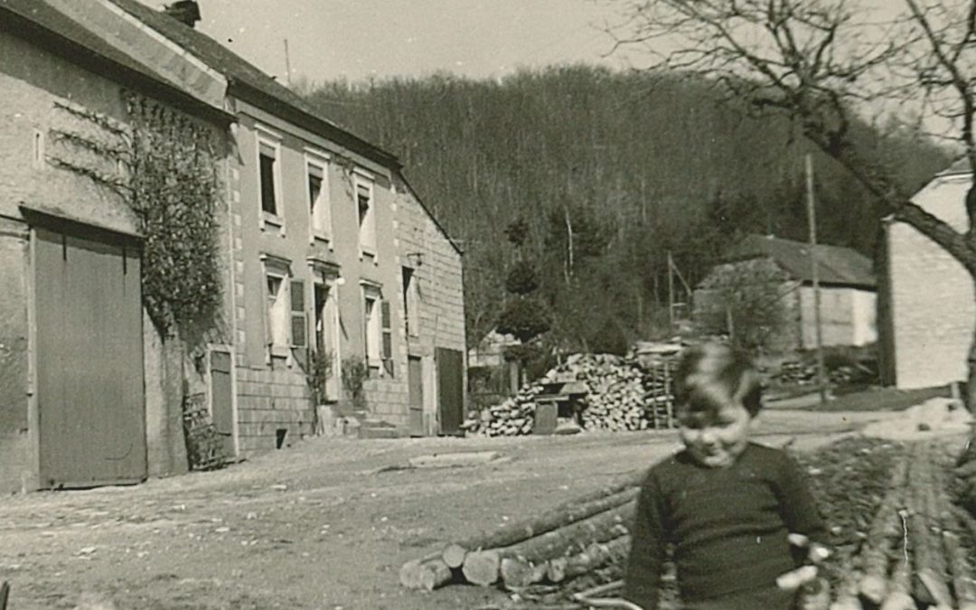 Le vieil homme et l’arbre, portrait croisé