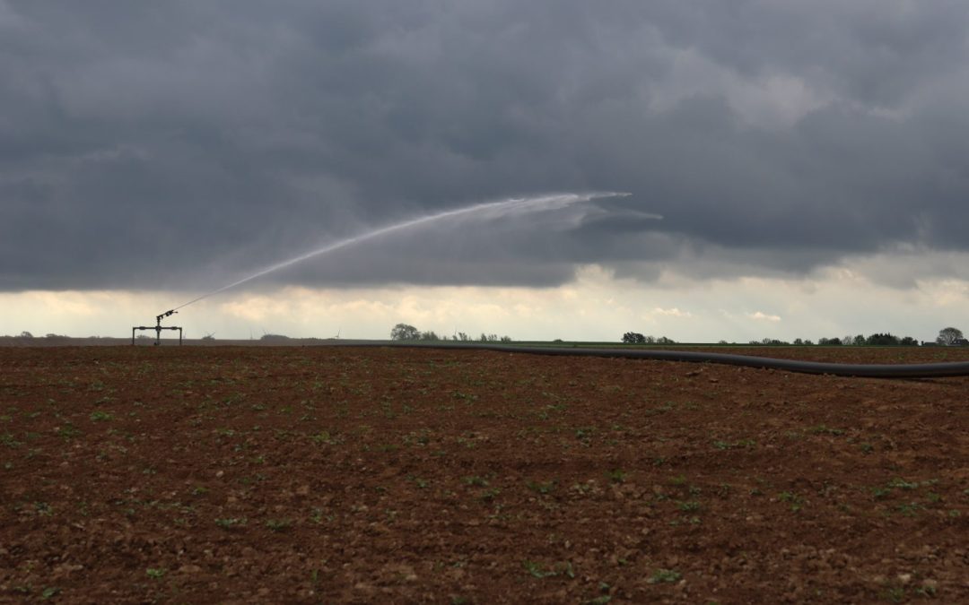 Hiérarchiser les usages de l’eau