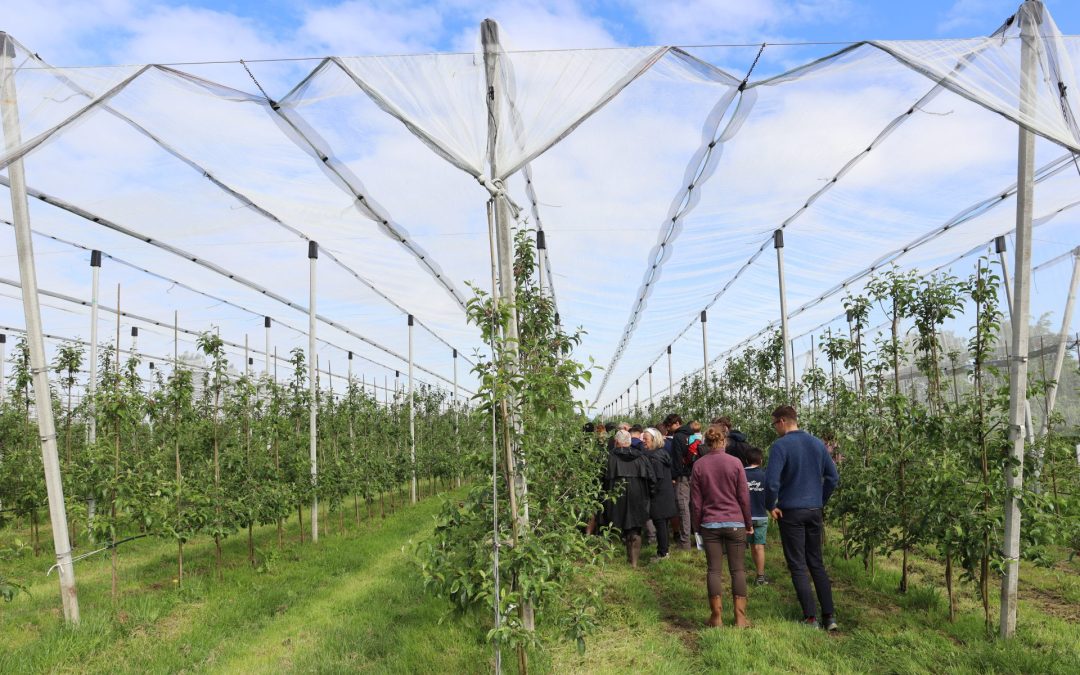 Mieux choisir nos fruits