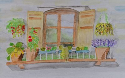 Des légumes sans jardin, c’est possible !