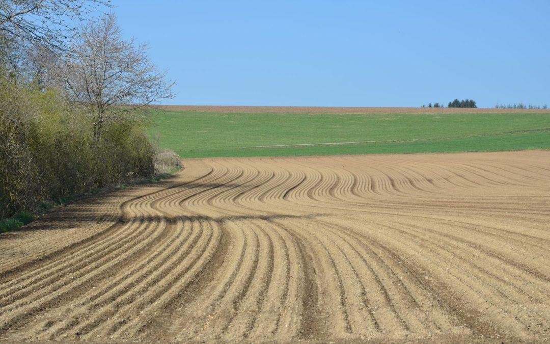 [Etude] Qui protègera nos sols ?