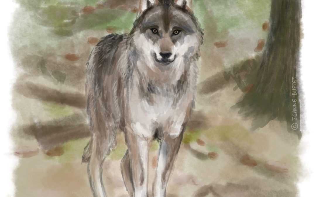 Nature, agriculture, faut-il choisir ?