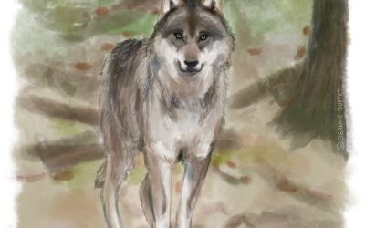 Nature, agriculture, faut-il choisir ?