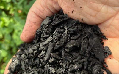 Découvrons le biochar