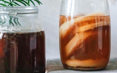Faire son kombucha