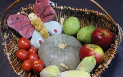 Les 1.000 premiers jours où tout commence